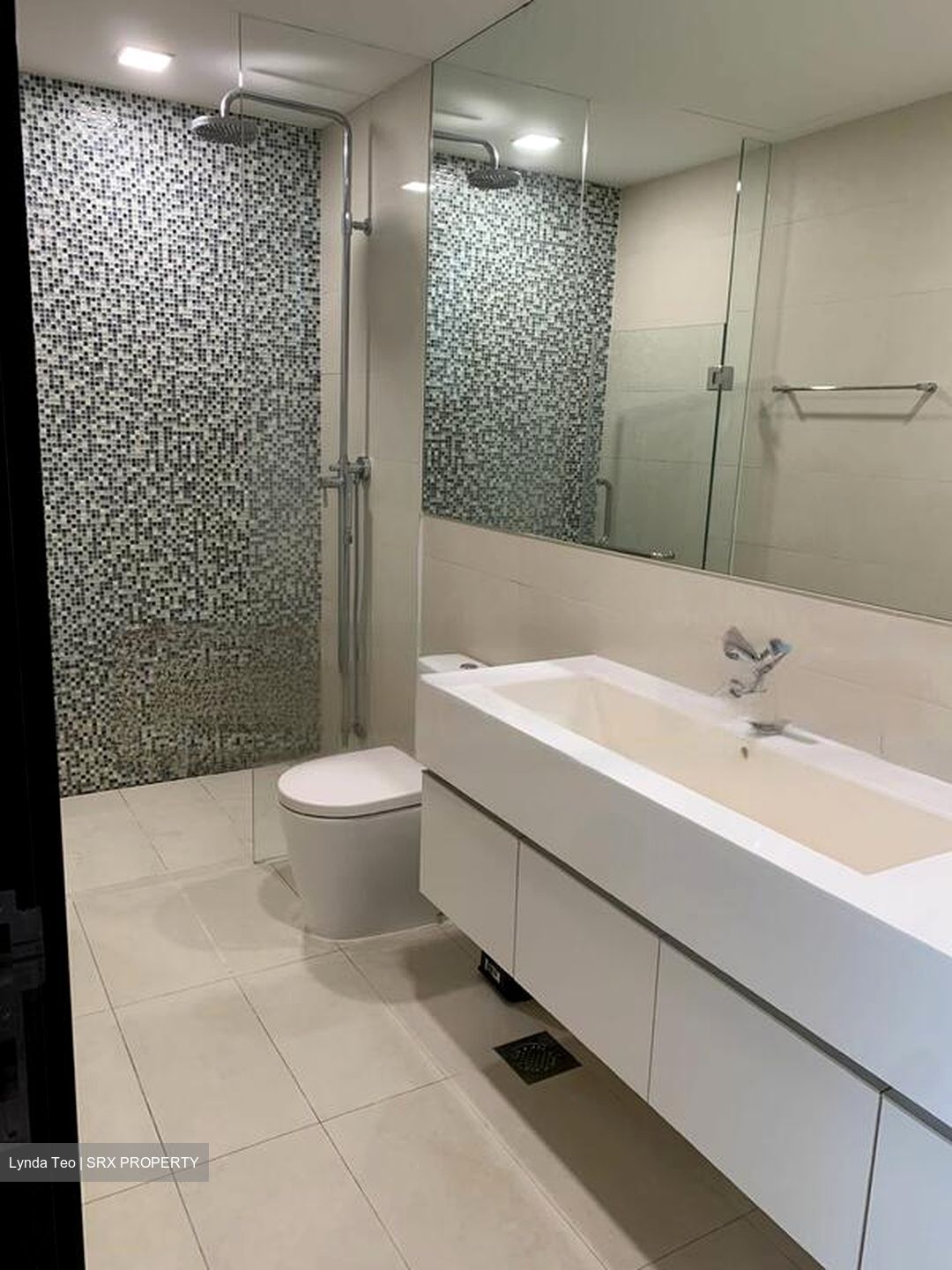 The Rochester Residences (D5), Apartment #457888991